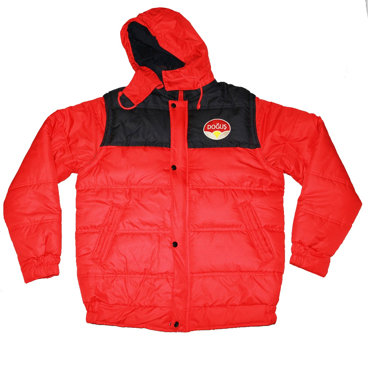 Mont M-31